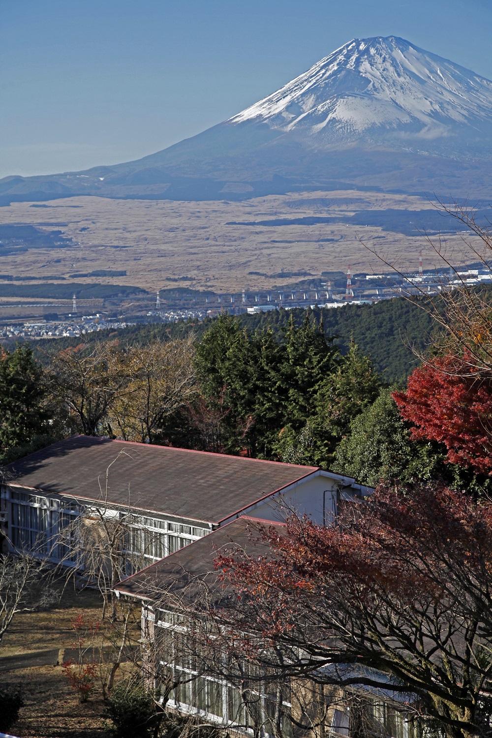 寮舎地区と富士